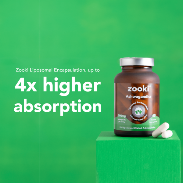 Ashwagandha Zooki Capsules - Image 4