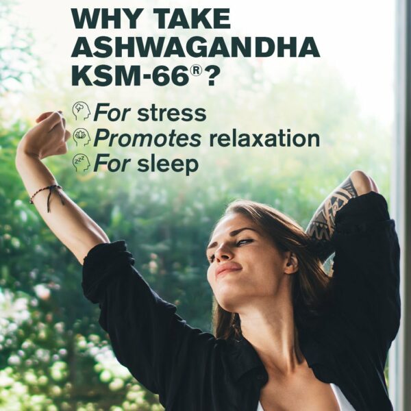 Ashwagandha KSM-66® - Image 3